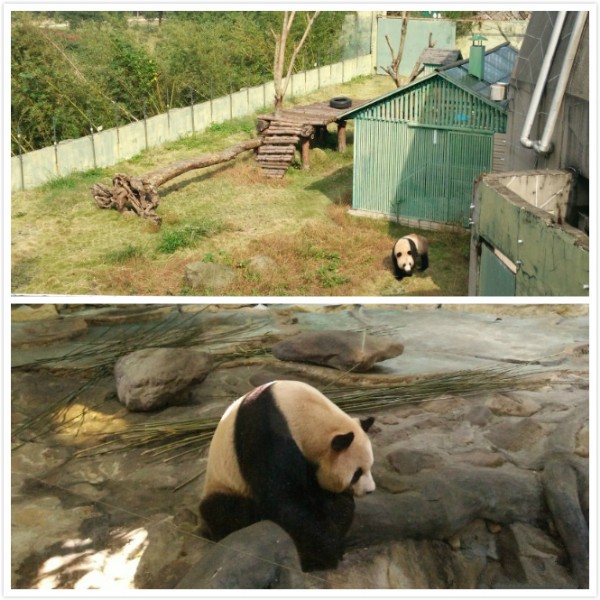 公司總動員——臺州一日游